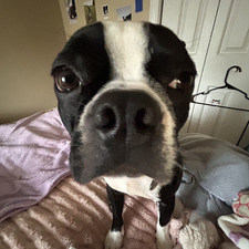Ella