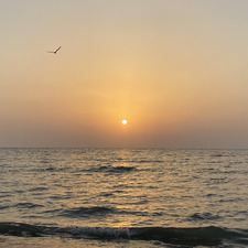SEHAM