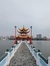 QingQing
