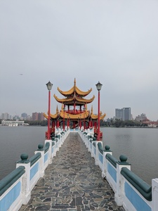 QingQing