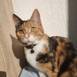 Sanne