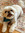 Steph | 1 comments