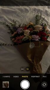 yalda