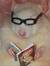 Laia