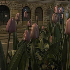 ∘₊✧─bluiiberrii ─✧₊ ∘