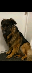 An