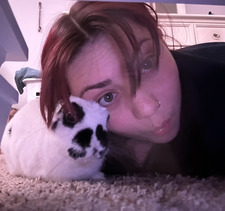 Jenivee