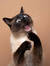 Cassy M...