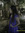 Katherine