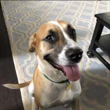 Heather Adores Books