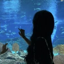 ☆ ɪʀɪꜱ ☆- ᴍʏ ꜰʀɪᴇɴᴅꜱ ᴀʀᴇ ꜱᴀʏɪɴɢ "ꜱʜᴜᴛ ᴜᴘ ᴊᴇɴɴʏ ᴊᴜꜱᴛ ɢᴇᴛ ɪɴ ᴛʜᴇ ᴄᴀʀ"