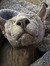 Dorian