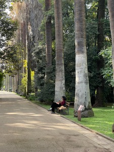 Madiha
