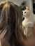 Cece