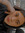Aracely Manzanillo