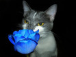 Larisa ❀