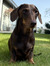 Abbie B...