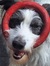 Marieke