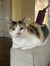 Amy