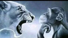 Fer