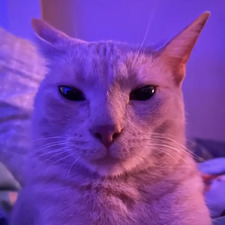 toob