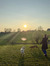 Lieve W...