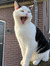 Rianne