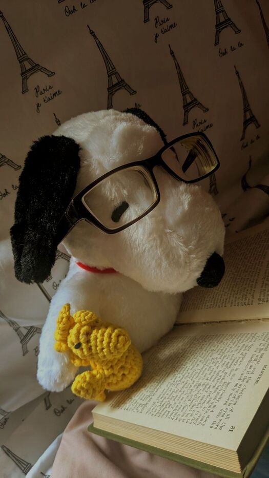 Goodreads profile picture for @sebic