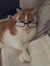 teejreads