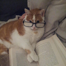 teejreads