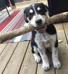 Ben