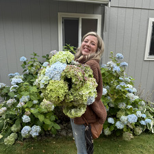 Laurel Dickison
