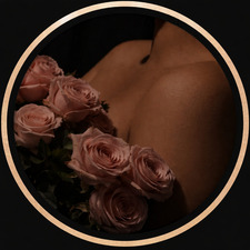 Dark Rose