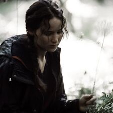 ✧.* aariiaaddnaa ✧.*