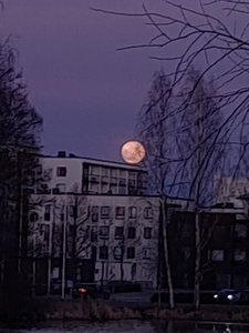 Kaisa
