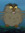 Doc_Owl