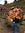 Ohood | 1 comments