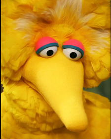 Jay