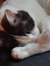 Gertrud...