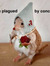 Mary  P...