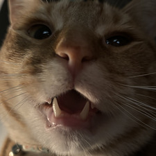 sam