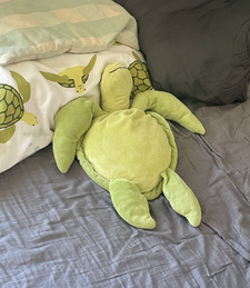 L