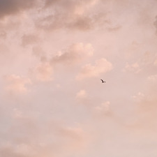 Rory Sembay