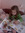 Izzy Nauman