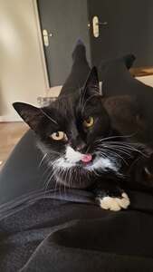 Lex