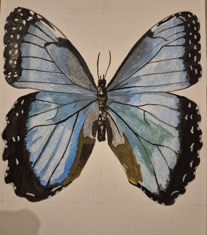 Goodreads profile picture for @midori