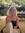 Madi Less