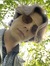 Nils Hugo