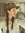 Darcie Thorpe