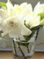 Fiore